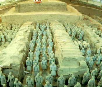 TerraCota TerraCota