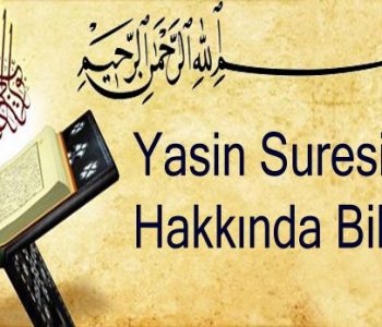 Yasin Yasin