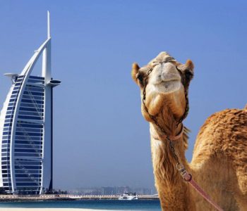 dubai dubai